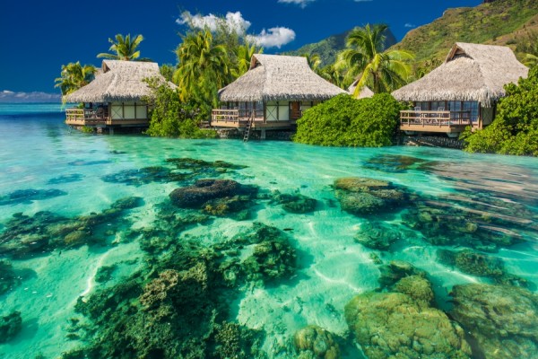 LA PERLA CULTIVADA DE TAHITI