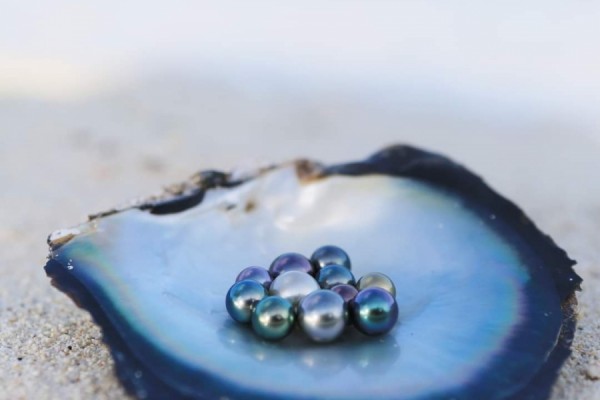 COMPRENDER LA CALIDAD DE LAS PERLAS DE TAHITI: CRITERIOS Y CLASIFICACIÓN